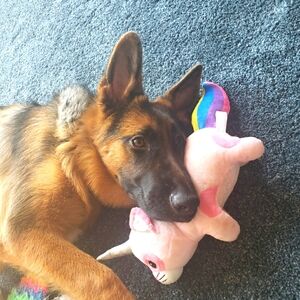 I am accepting All Resonable offers!